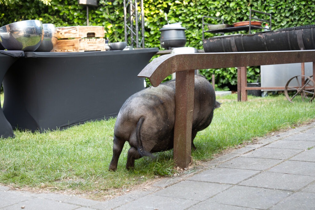 Trouwfotograaf Boerengoed Enspijk